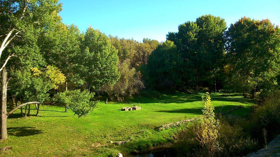 Camping Riaza *